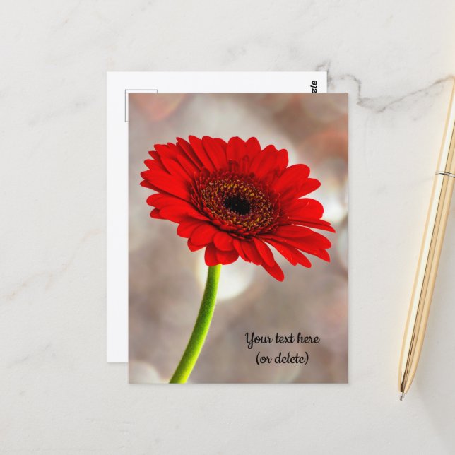 Carte postale de gerbera rouge unique (Devant/Arrière en situation)