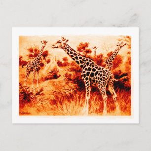 Carte postale de girafe