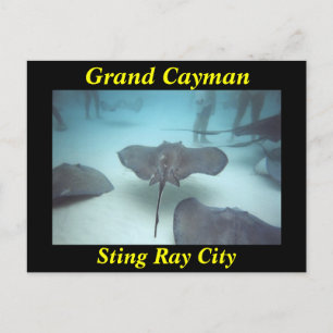 Carte postale de Grand Cayman
