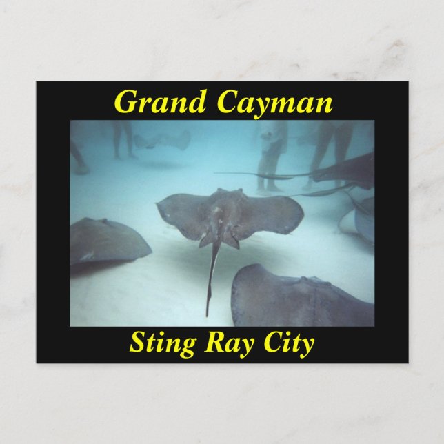 Carte postale de Grand Cayman (Devant)