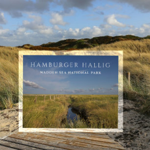 Carte postale de Hamburger Hallig, mer des Wadden,