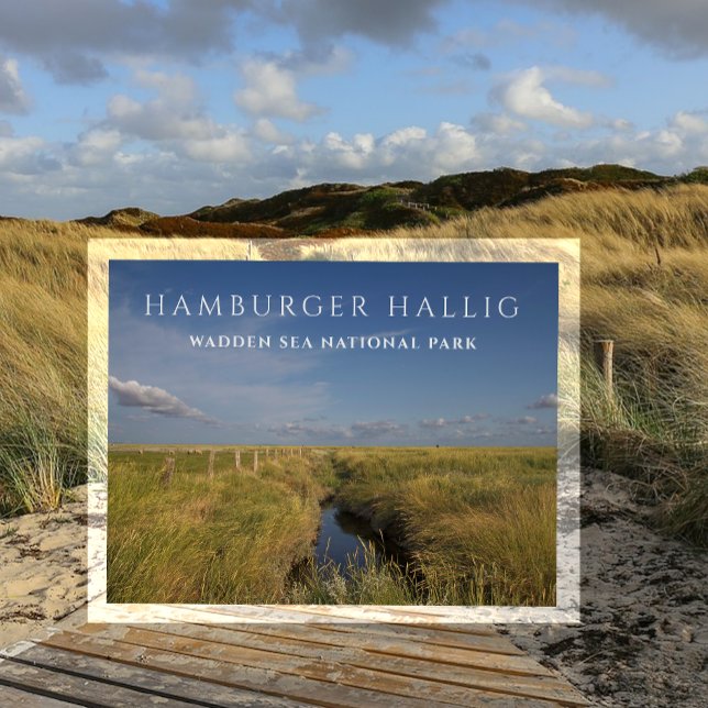 Carte postale de Hamburger Hallig, mer des Wadden, (Créateur téléchargé)