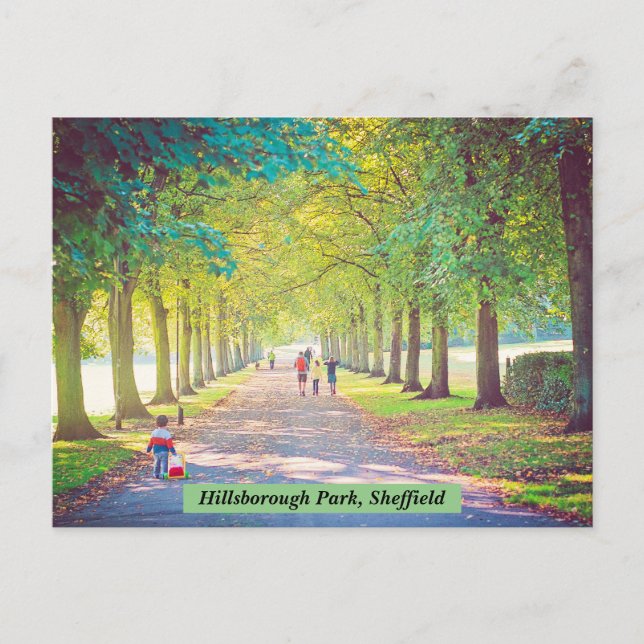 Carte postale de Hillsborough Park, Sheffield (Devant)