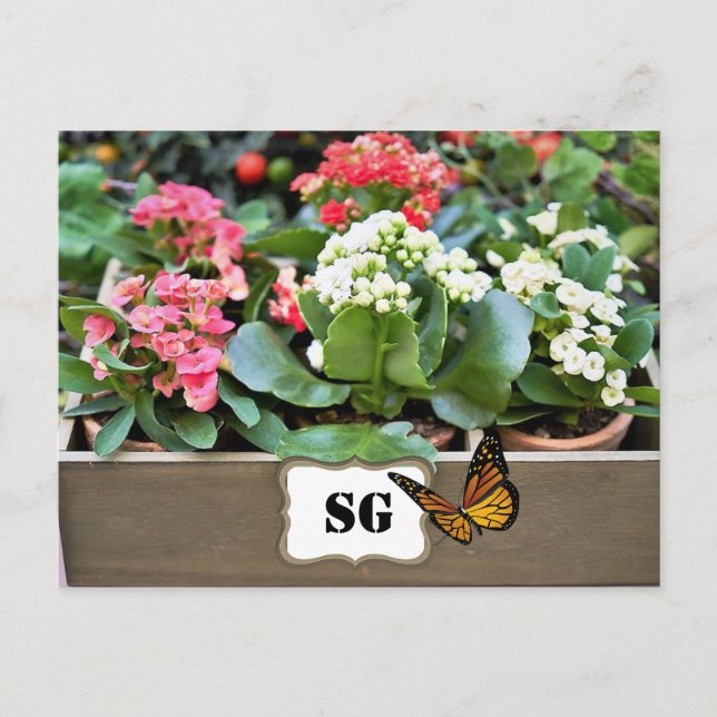 Carte postale de jardin de fleurs en conteneur à m (Devant)