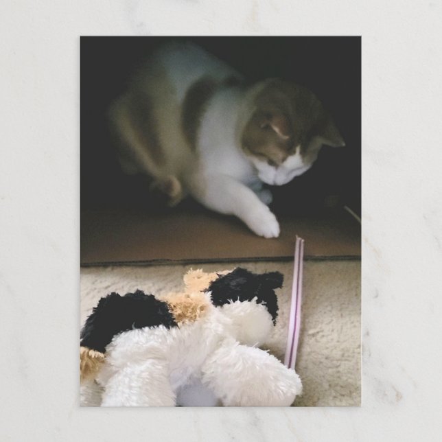 Carte postale de jeu avec un chat en peluche (Créateur téléchargé)