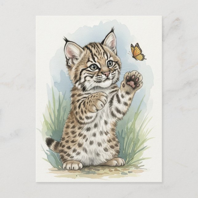 Carte postale de jeune chaton lynx bébé chat anima (Devant)
