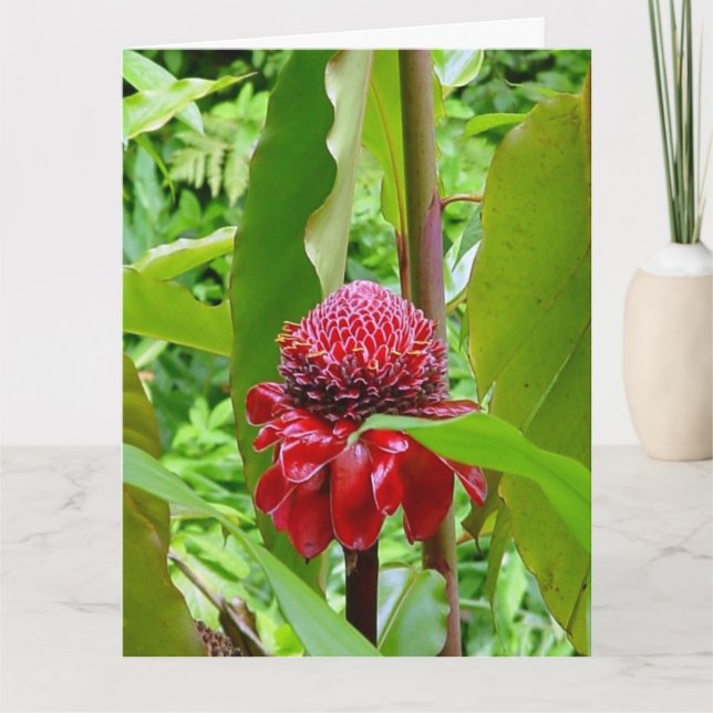 Carte postale de joyeux anniversaire d'Hawaï (Devant)