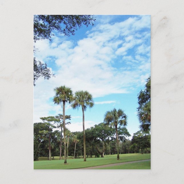Carte postale de Kiawah Island (Devant)