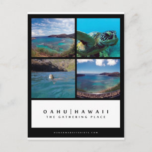 Carte postale de la baie de Hanauma à Oahu Hawaii