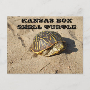 Carte postale de la boîte de pays Kansas Coquille