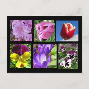 Carte postale de la collection de fleurs de printe