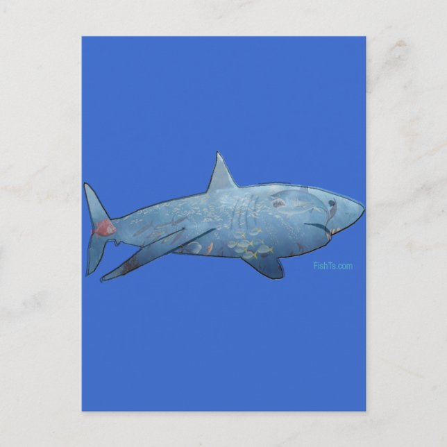 Carte Postale De la collection Sharks (Devant)