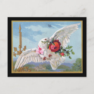 Carte postale de la colombe romantique