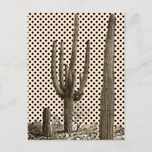 Carte postale de la diva du désert