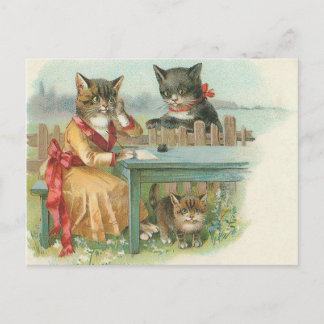 carte postale de la famille cat
