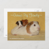 Carte postale de la famille des porcs de Guinée (Devant / Derrière)