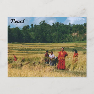 Carte postale de la famille Népal