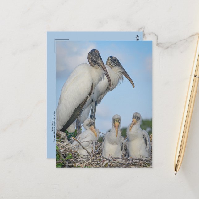 Carte postale de la famille Stork (Devant/Arrière en situation)