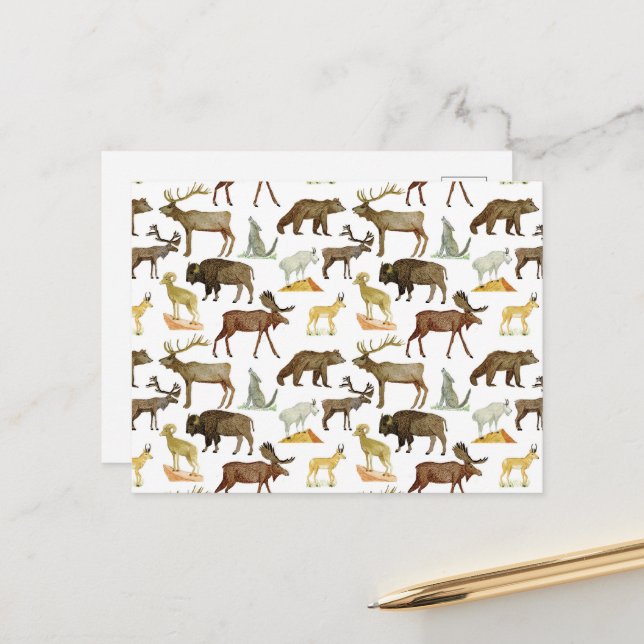 Carte postale de la faune des parcs nationaux (Devant/Arrière en situation)