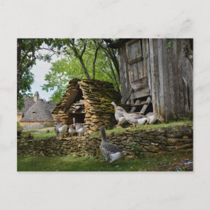 Carte postale de la ferme d'oie de foie gras tradi