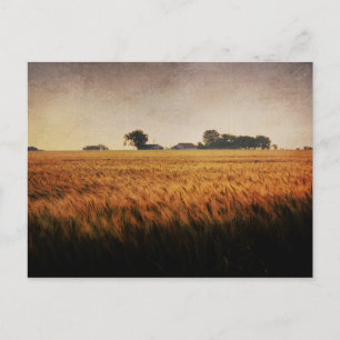 Carte postale de la ferme Texas