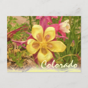 Carte postale de la fleur de colonnette jaune