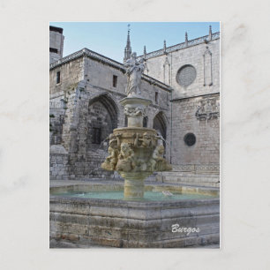 Carte postale de la Fontaine de la Cathédrale de B