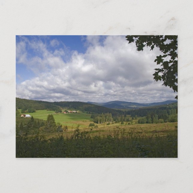 Carte postale de la forêt bavaroise (Devant)