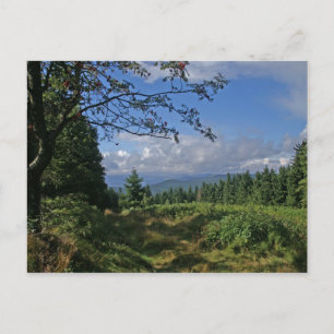 Carte postale de la forêt bavaroise