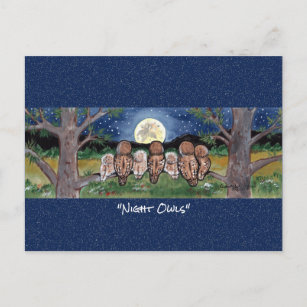 Carte postale de la Forêt de Chouette de nuit