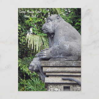Carte postale de la forêt de singes