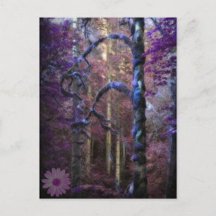 Carte postale de la forêt violette mystique