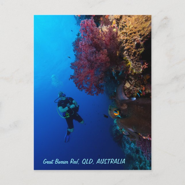 Carte postale de la Grande barrière de corail (Devant)