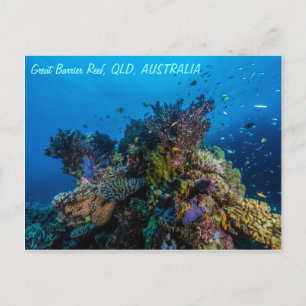 Carte postale de la Grande barrière de corail