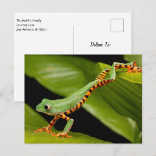 Carte postale de la grenouille arboricole du singe