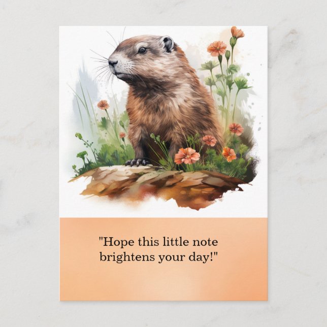 Carte postale de la journée de la marmotte - Un ac (Devant)