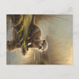 Carte postale de la loutre kin de First Light – Jo