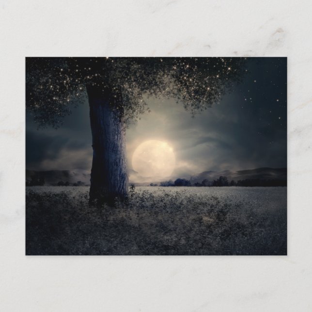 Carte postale de la lune de nuit magique (Devant)