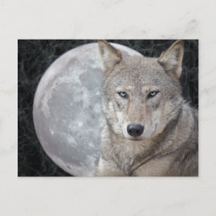 Carte postale de la Lune du Loup