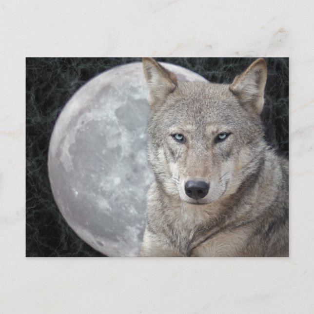 Carte postale de la Lune du Loup (Devant)