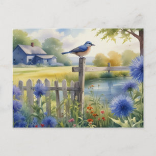 Carte postale de la maison d'été Bird Nature