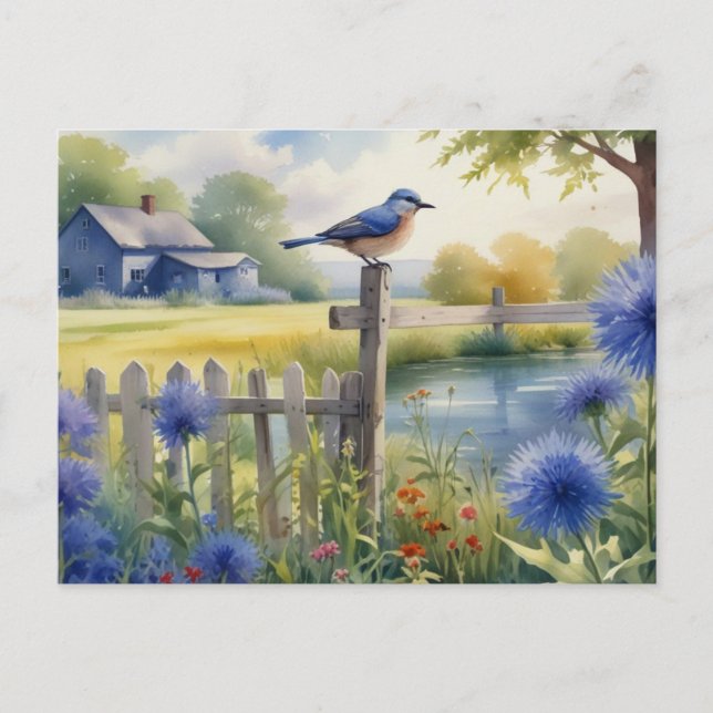 Carte postale de la maison d'été Bird Nature (Devant)
