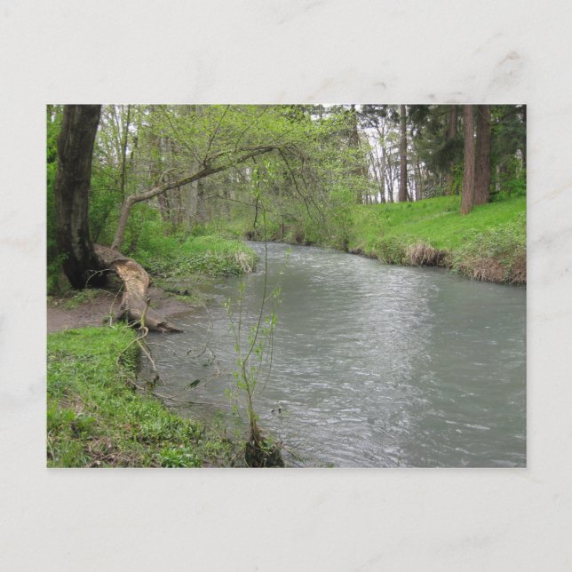 Carte postale de la nature (Devant)