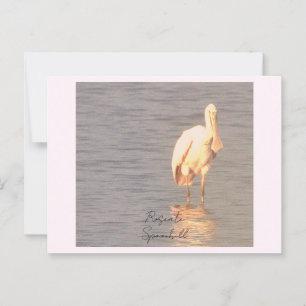 Carte postale de la photo Oiseau de Spoonbill Rose