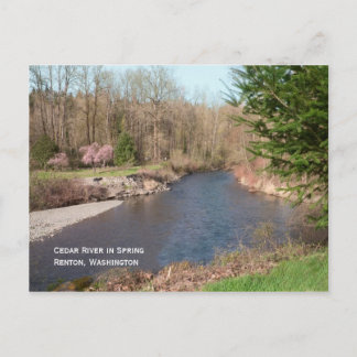 Carte postale de la plage de Cedar River