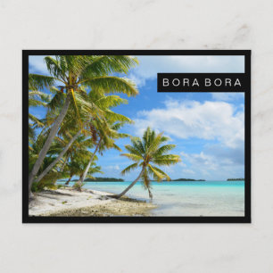 Carte postale de la plage de palmiers du Pacifique