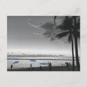 Carte postale de la plage d'Hawaii et des palmiers