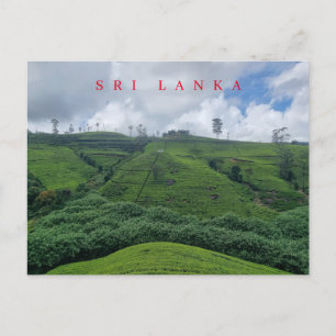 Carte postale de la plantation de thé Sri Lanka