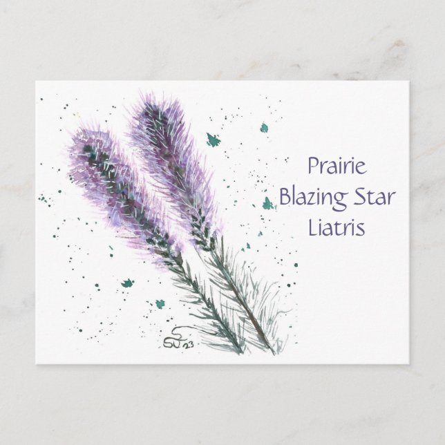 Carte postale de la Prairie Blazing Star  (Devant)