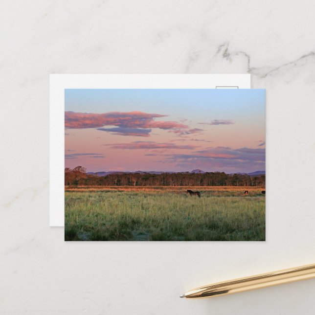 Carte postale de la prairie forestière sereine (Devant/Arrière en situation)